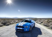 Shelby Cobra GT500 Show Car